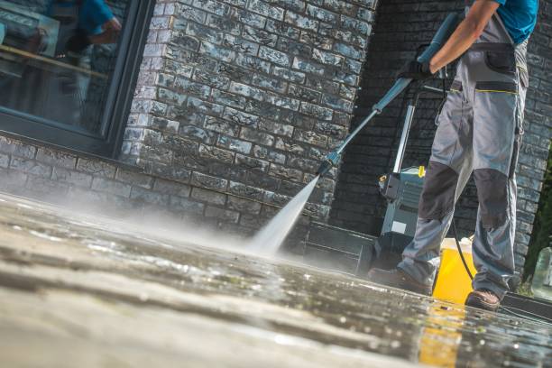 Best Roof Cleaning and Mildew Removal in Highland, IN